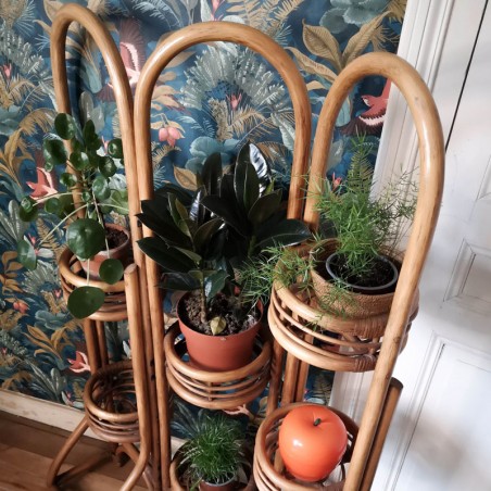 Paravent / porte plante en rotin