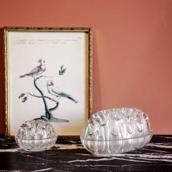 Petit pique fleurs en verre transparent.